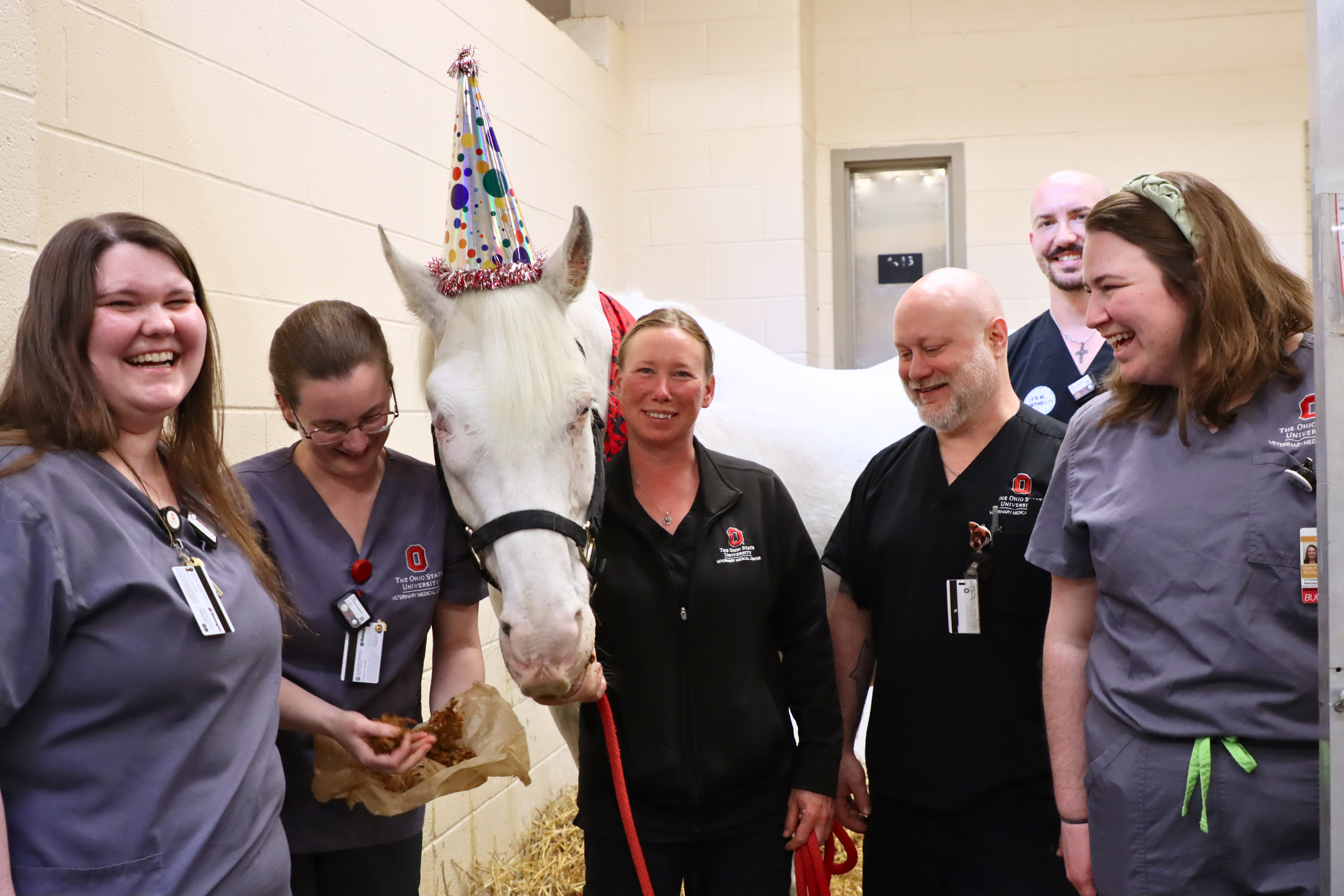 Dan Dee celebrating his final treatment with his care team at The Ohio State University Veterinary Medical Center