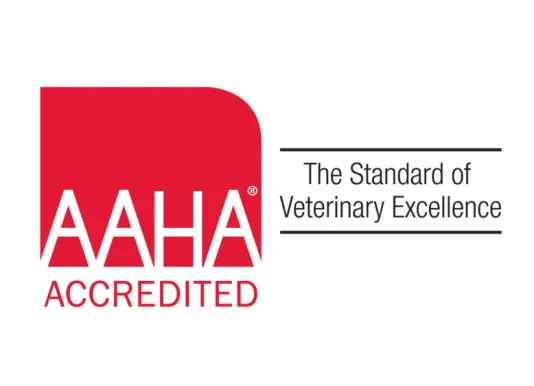 AAHA-accredited practice