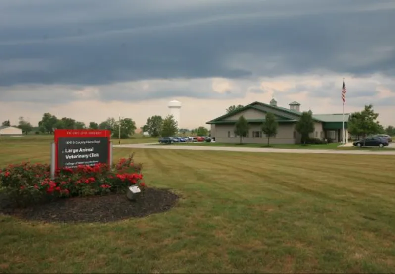 Large Animal Services at Marysville