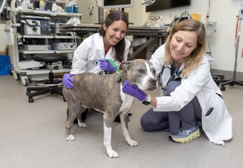 Dr Winston with internal medicine patient