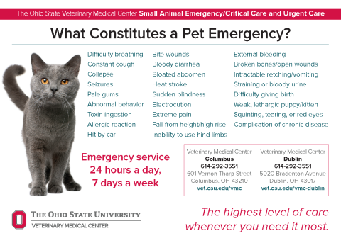 what is a pet emergency 