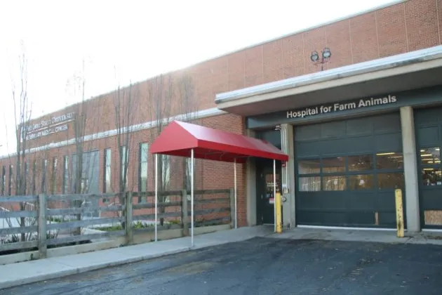 Exterior of hospital for Farm Animals